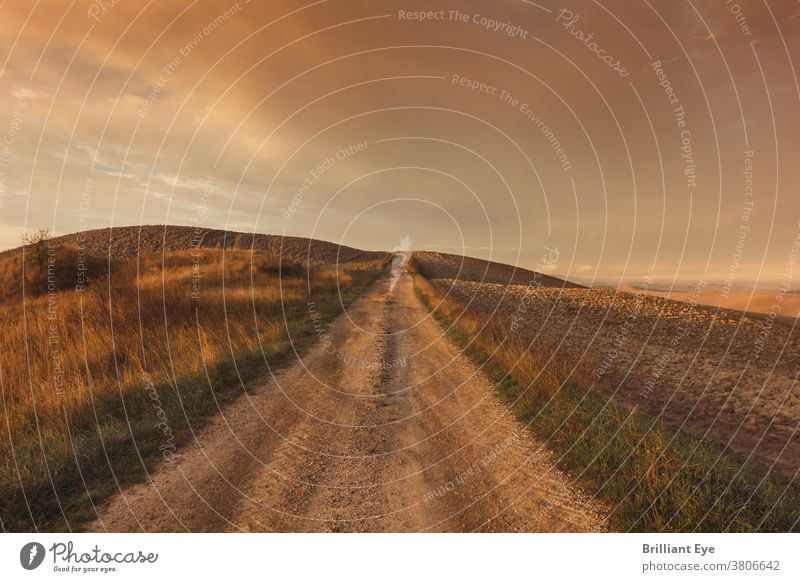 Pathway between fields in rural area of Tuscany scenic empty dirt idyllic wilderness pasture single landscaped outdoor lane long sunlight horizon direction