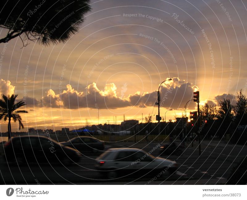 Sunset Palma Sky Clouds Street Motor vehicle Car Palm tree Sunbeam Beach Twilight Ocean Water Harbour Palma de Majorca Spain Town