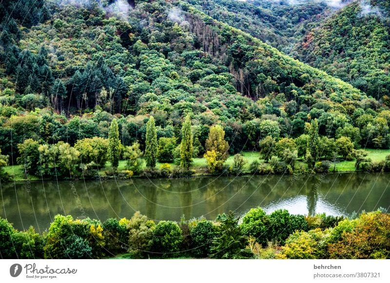 mosel jungle Vacation & Travel Forest Exterior shot Hiking Nature Landscape Deserted Colour photo Clouds Mountain Environment Far-off places Freedom Adventure