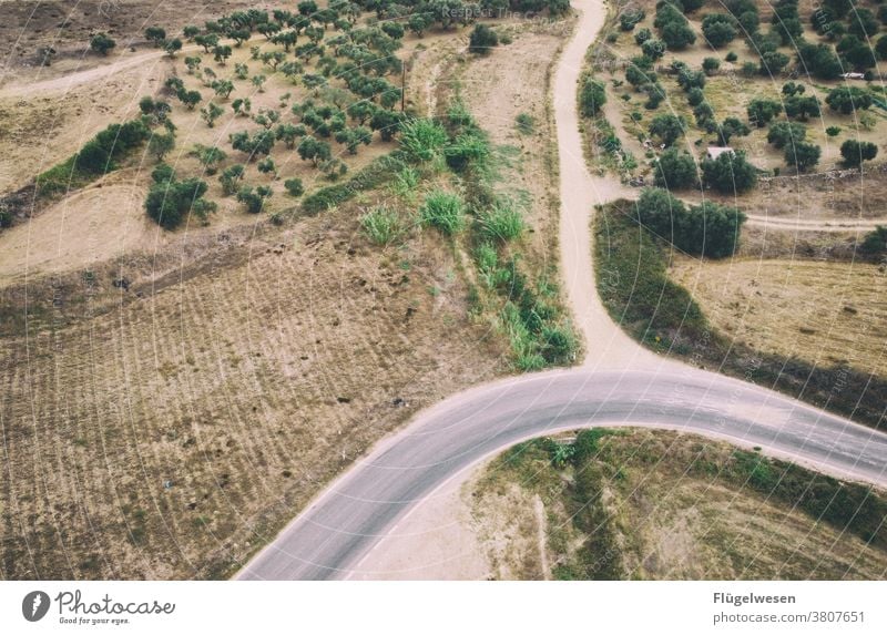 From above 5 Above aerial photograph drones droning UAV view Field Margin of a field Working in the fields Tracks Tracking track search Lanes & trails Grain