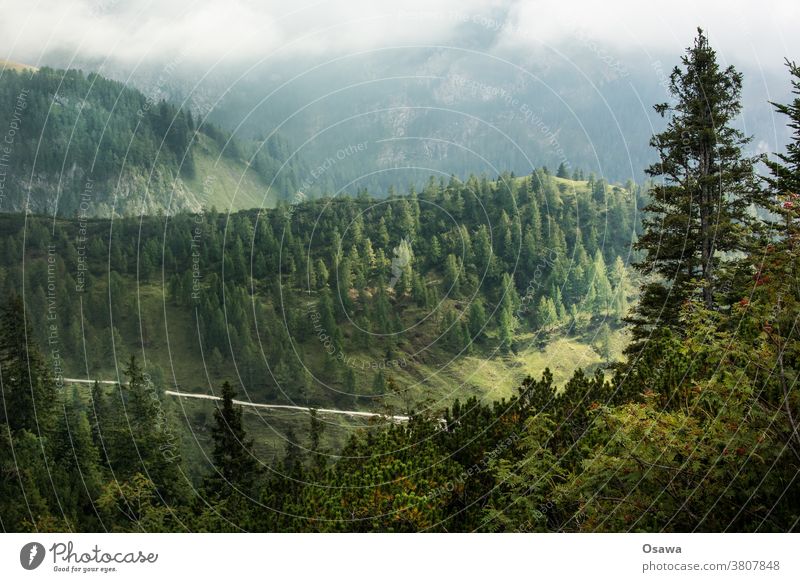 in the mountains Mountain Landscape Nature Clouds Hiking Deserted off trees Forest Mountain forest Hill slope Vantage point Colour photo Exterior shot Alps