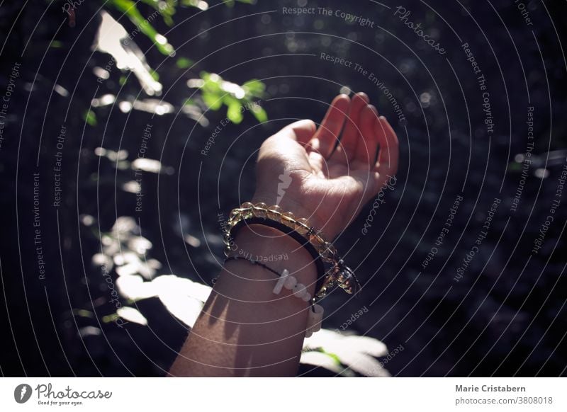 Hand reaching out to a dark forest showing concept of healing and peace in exploring nature finding peace and healing conceptual photography selective focus