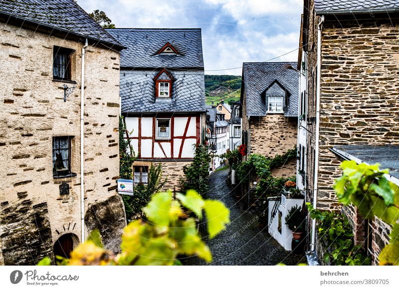 moselle stories Architecture houses Town Hiking Rhineland-Palatinate Lanes & trails Moselle Mosel (wine-growing area) Hunsrück Moselle valley stonewall