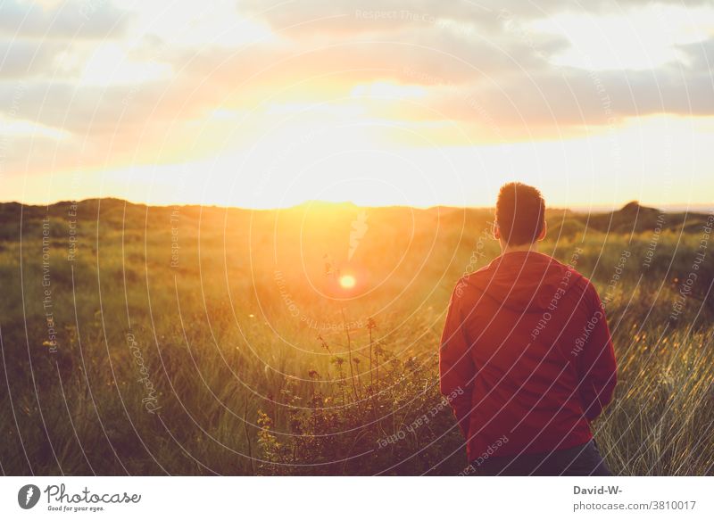 Man stands in the sunset and looks towards the setting sun Sunset Landscape Human being Light beautifully Environment tranquillity Loneliness gap To enjoy