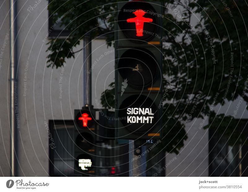 Red traffic light, signal comes for pedestrians Traffic light Mobility Traffic infrastructure Pictogram Illuminate Pedestrian traffic light ampelmännchen Signal