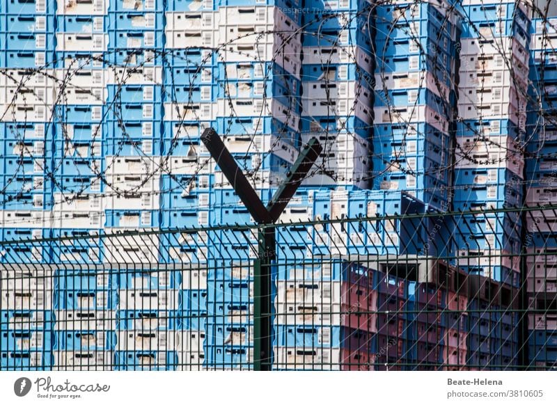 Empty good! - Empty plastic crates for beverage bottles empty Beverage Deserted Deposit bottle blue and white plaid replenishment Fluid lack of liquid