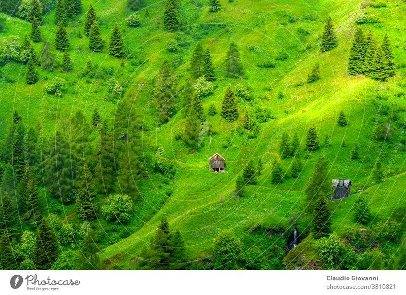 Mountain landscape along the road to Passo Giau, Dolomites, Veneto, Italy Belluno Europe Unesco color day green hut mountain nature pass photography plant