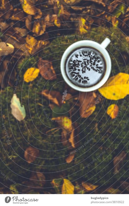 A white cup of coffee / tea is placed on the forest floor. The leaves of the trees are reflected in the drink. The picture is in autumn colours. Coffee