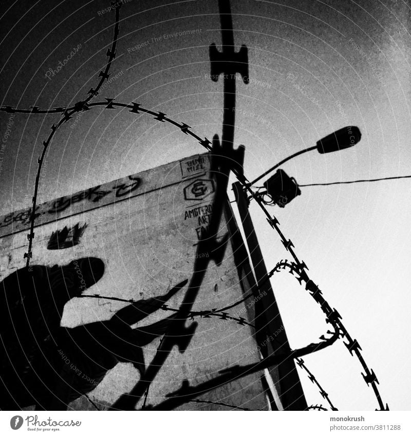 graffiti of horse mural with barbed wire in foreground and dark sky Pegasus concertina wire Greek mythology urban decay street light leaping horse gradient