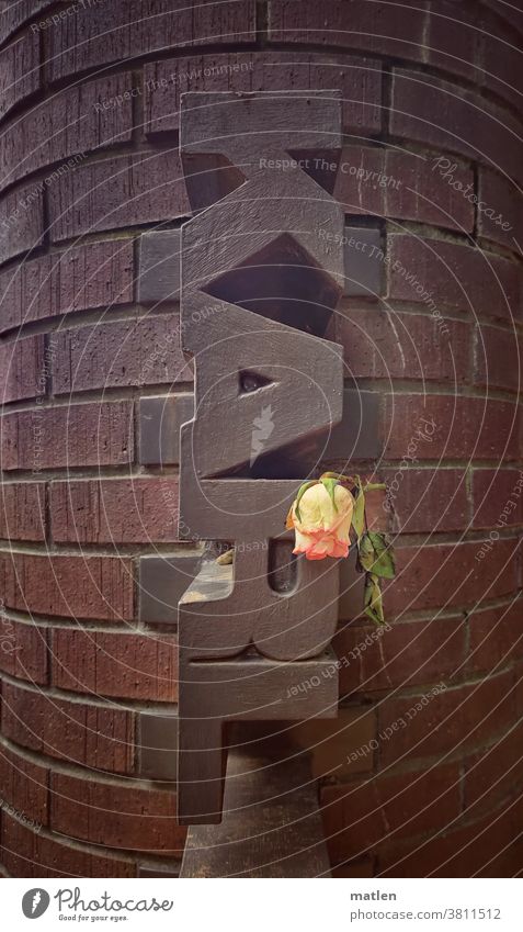 Charles meagre Liebknecht commemoration Berlin Exterior shot Deserted Brick pink withered Letters (alphabet) Capital city mobile