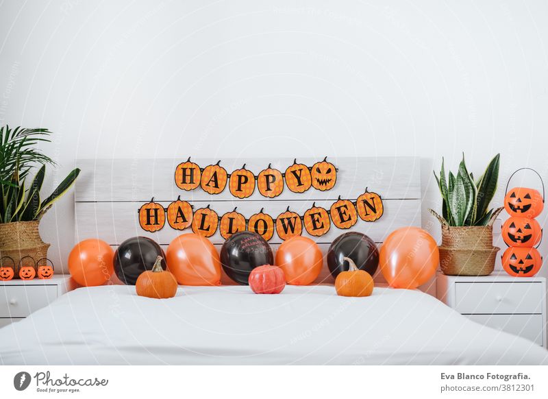 bedroom halloween decoration with pumpkins, balloons and garland, nobody. halloween concept home holiday orange plants background season celebration window