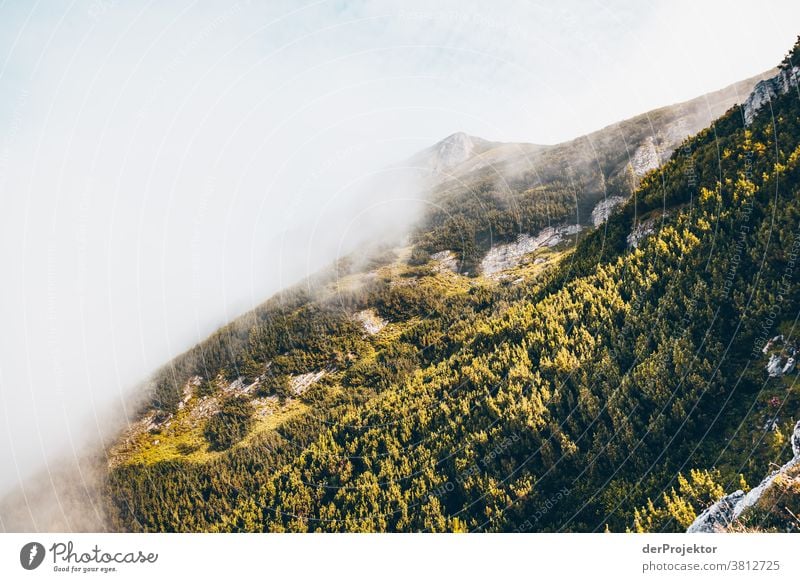 Hike with limited view over the Achensee in Tirol in Austria Alps Back-light Tyrol Lake Achensee Wanderlust Hiking trip Class outing nature conservation