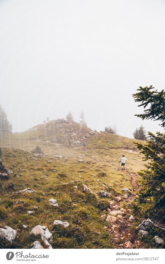 Hiking in the fog above the Achensee in Tirol in Austria Alps Back-light Tyrol Lake Achensee Wanderlust Hiking trip Class outing nature conservation Endurance