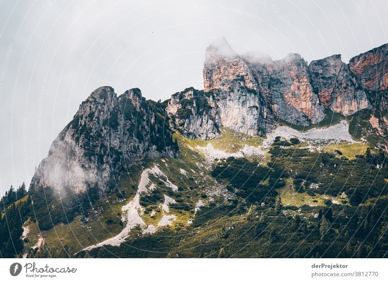 Hike with limited view over the Achensee in Tirol in Austria Alps Back-light Tyrol Lake Achensee Wanderlust Hiking trip Class outing nature conservation