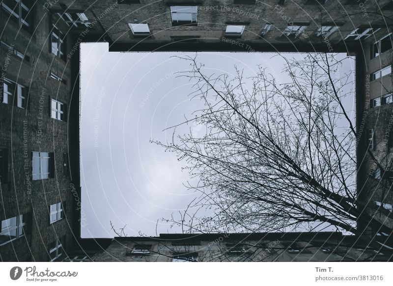 I look up ....the sky above a backyard in Berlin Backyard House (Residential Structure) Window Facade Town Deserted Downtown Old building Old town Capital city