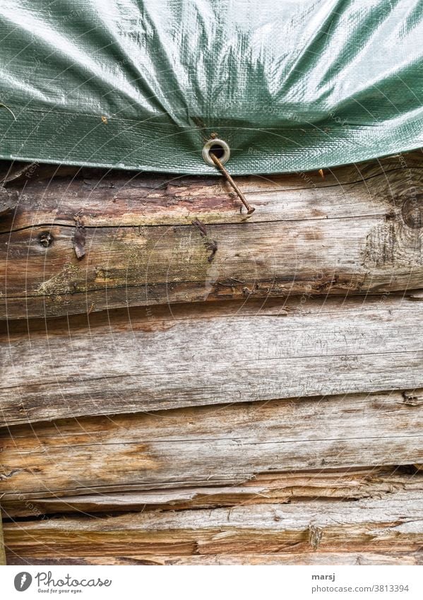 When a crooked nail should take all the burden and burden of protecting firewood. Stack of wood protective tarpaulin Eyelet nailed on Nailed Attach Tree trunk