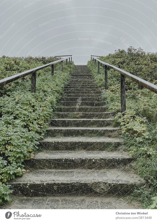 400 / things are looking up...  Older worn stone stairs with railings on both sides and low plants on both sides lead quite steeply upwards. View from below against a bright sky