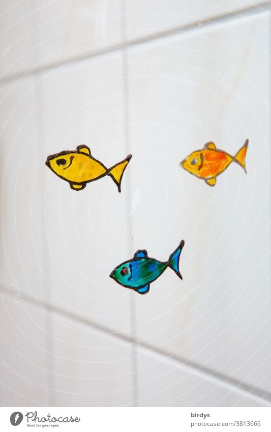 small colourful fish, painted on a glass wall in the bathroom, white tiles in the background Glass wall Funny Positive creatively variegated Decoration