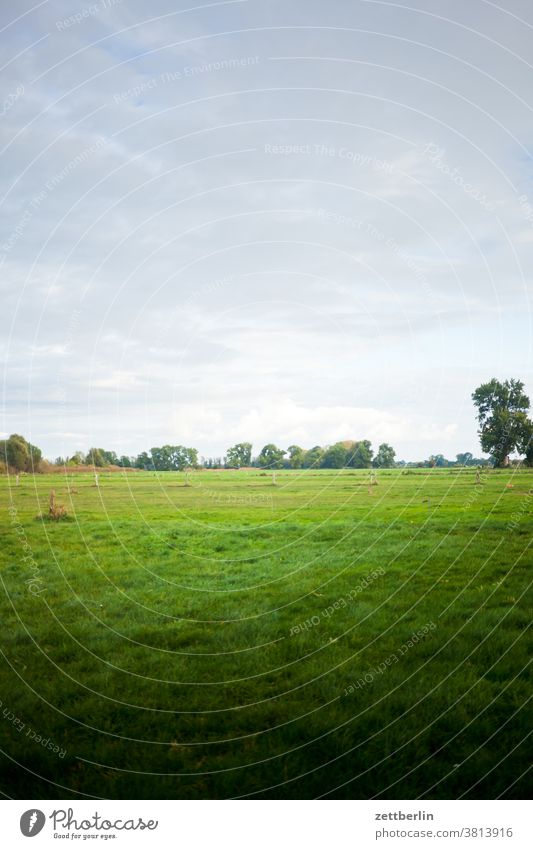 Linum, Brandenburg Evening dim light Twilight Autumn Sky Nature nature conservation Environmental protection wintering grounds cloud Meadow Willow tree