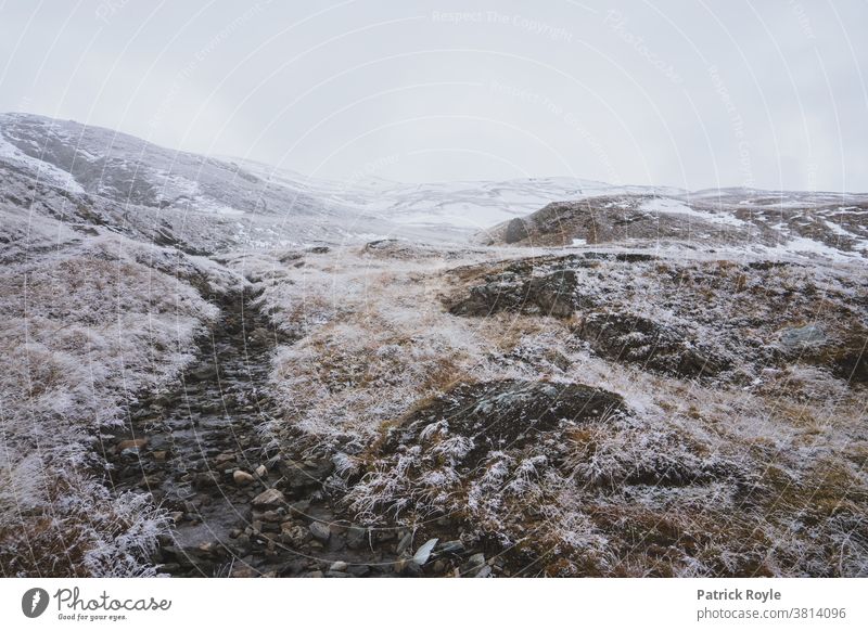 Autumn snow covering grass in Zermatt in the Swiss Alps Switzerland Peaceful alpine crossing Alpine Alpine pasture valais Valais Alps Geneva Zurich