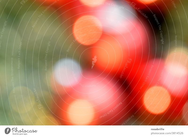 colour combination | christmas bokeh in red, green and yellow - red balls on the fir tree with a chain of lights Christmas Abstract Fairy lights Light circles