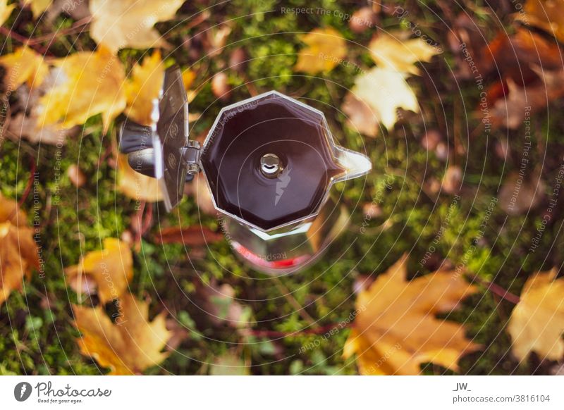 Espresso maker from above. Background: Blurred forest soil with autumn leaves. outdoor bialetti Autumn Close-up Coffee Café Hot drink Coffee break Autumn leaves