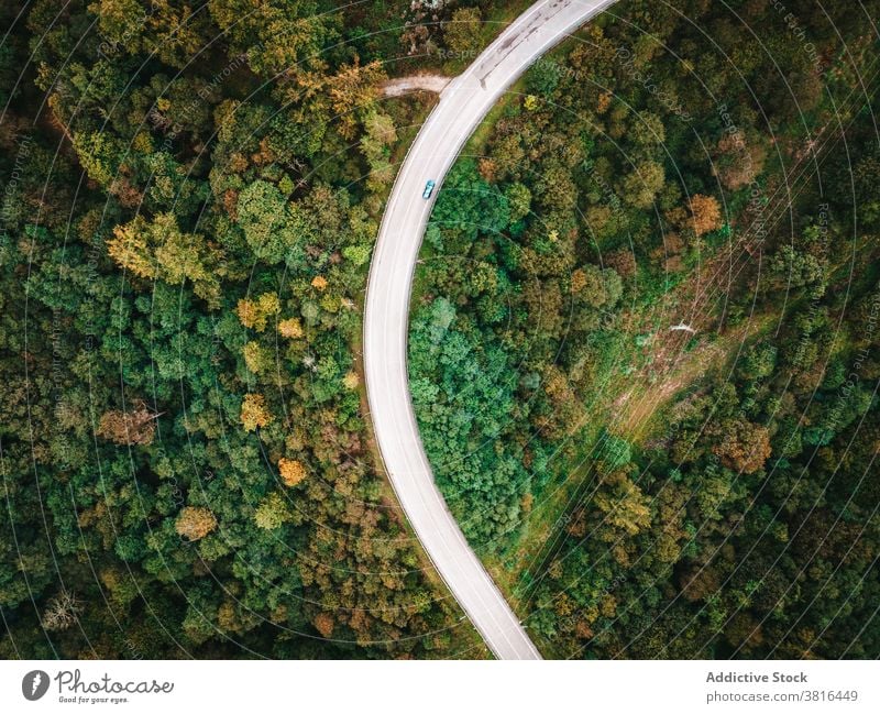 Road with cars in forest road woods drive amazing green woodland roadway highway spectacular transport vehicle scenic tree route nature trip picturesque asphalt