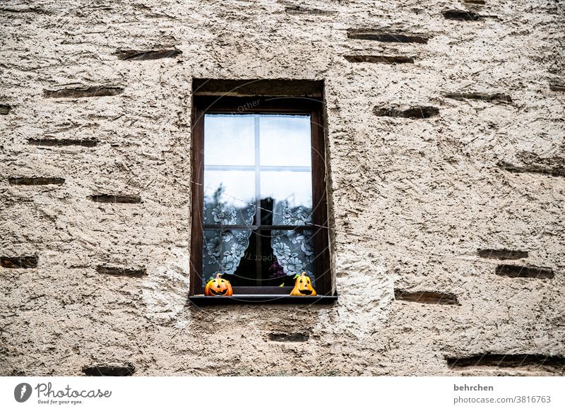 Happy Halloween Gloomy melancholically Deserted Wall (barrier) Colour photo Wall (building) Exterior shot Old Curtain Facade Window