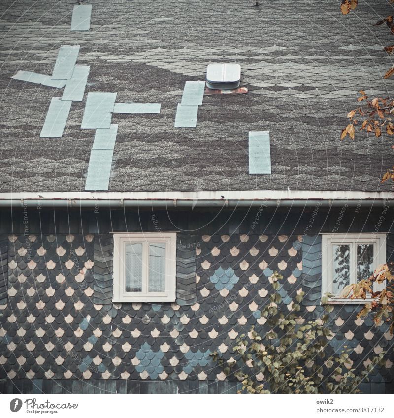 Improvisation Lausitz forest Oberland Saxony Eastern Germany House (Residential Structure) Old folksy Pattern Structures and shapes Roof Facade Window Skylight