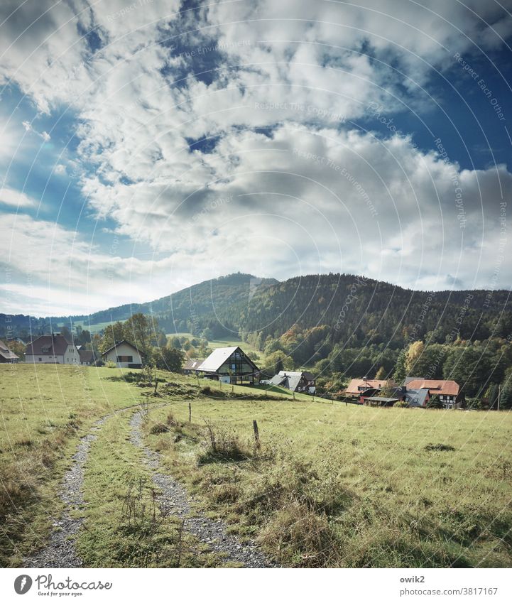 Village by the forest Lausitz forest houses Sky Clouds Idyll Landscape Nature Sunlight Panorama (View) Day Copy Space top Copy Space bottom Deserted