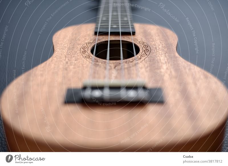 Brown ukulele on black background with shallow depht of field wooden instrument object acoustic musical closeup close up guitar string brown hawaiian rosette