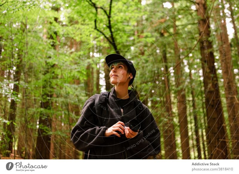 Smiling woman with photo camera in forest with sequoia trees photographer woods nature natural traveler holiday female