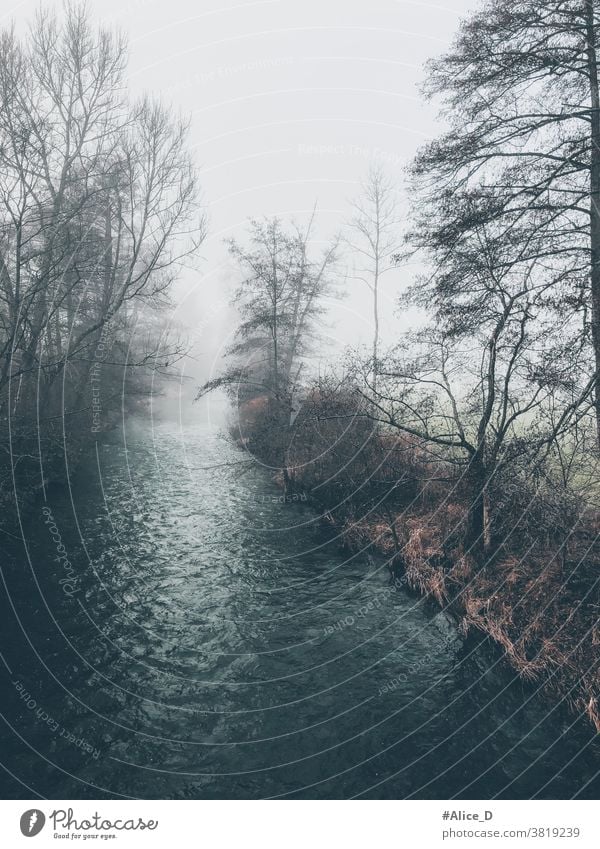 The Ahr river landscape on a misty winter day Ahrn valley River River bank Fog Winter Winter's day Cold Nature Natural landscape Mystic Vertical Eifel