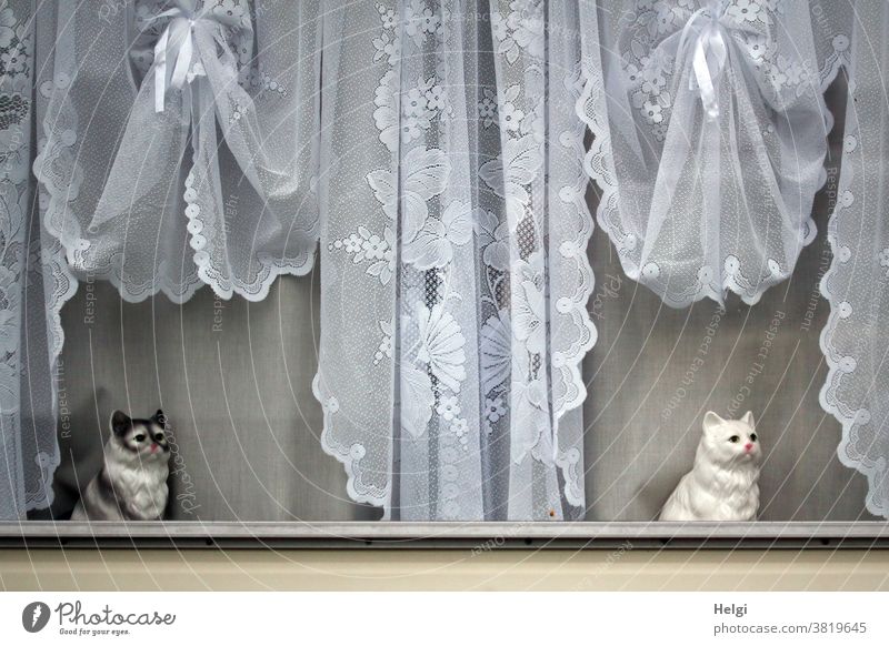 Sentry - two porcelain cats sitting at a window with nostalgic curtains Window Cat Porcelain cat Caravan Decoration Kitsch bits and pieces Curtain Idyll