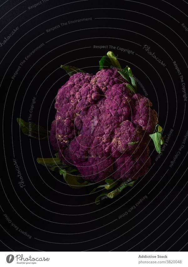 Purple cauliflower purple vegetable food healthy organic fresh vegetarian cabbage green raw natural plant ingredient nutrition leaf nature vegan cooking