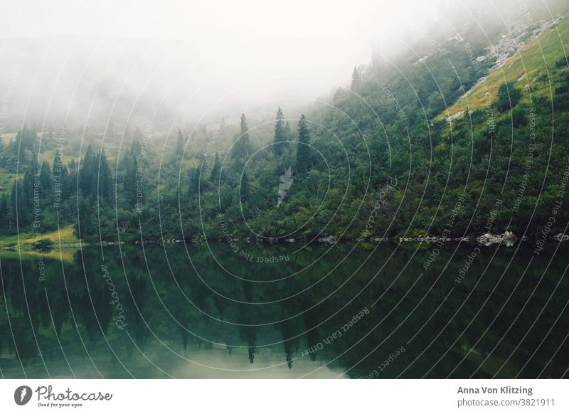 Mountain lake in fog Fog Lake Lakeside Forest Coniferous forest Clouds mirror Nature reserve Forstwald mountain lake Tree trees Scandinavia Swede Norway Hiking