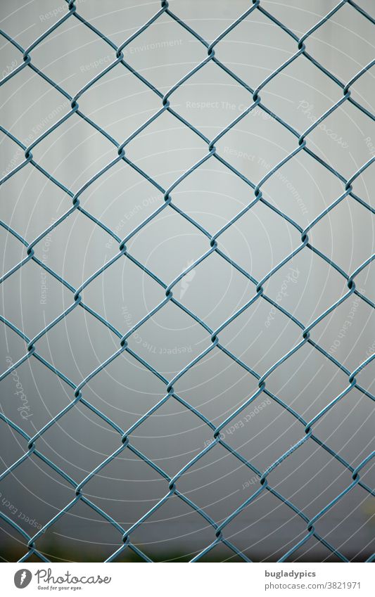 Blue wire mesh fence against a blurred grey background Wire netting fence Fence Metal Metalware Divide Border demarcation Gray Boundary line Safety Wire fence