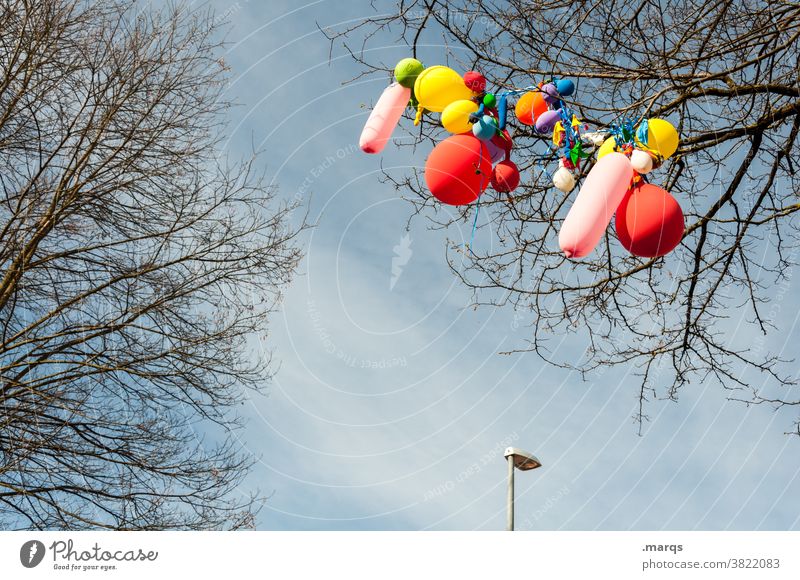 The party's over Branch Balloon Many Sky Feasts & Celebrations Birthday Party variegated Decoration Event Childrens birthsday Twig