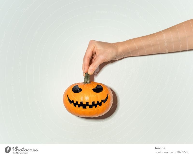 Hand holds halloween pumpkin on white wall orange holiday autumn scary fall lantern decoration spooky funny october white background celebration horror season