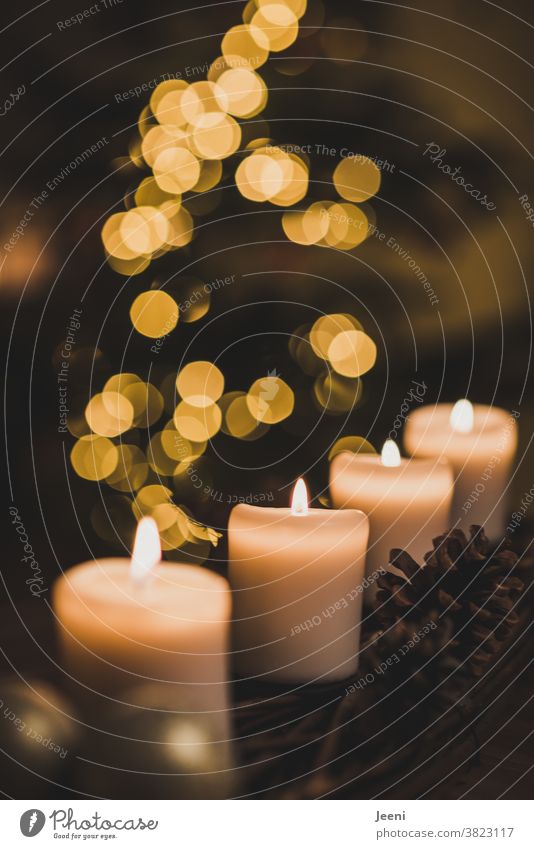 Advent arrangement with four candles. In the background the blurred lights of the Christmas tree. Christmas & Advent Christmas wreath 4 Burn Light Flame Warmth