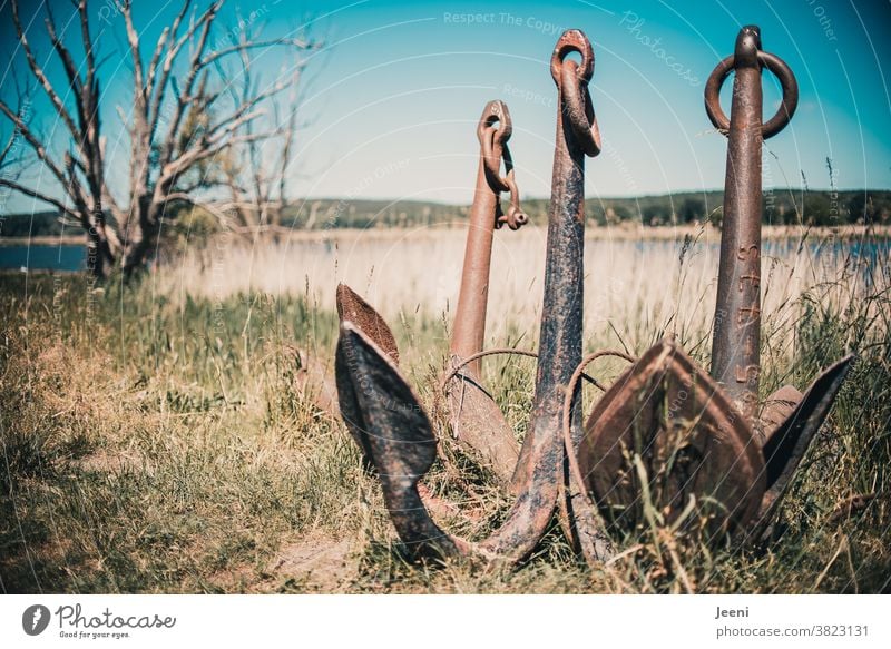 anchorage Anchor bank River Iron Metal Large Heavy boat ship Maritime Lake Ocean Navigation Water Blue clear Sky Landscape Nature Old three