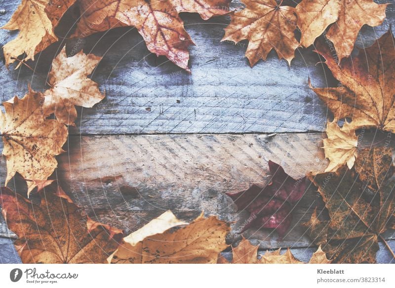 Brown-red autumn leaves arranged in a round pattern on grey-brown old wood, matted, with plenty of space for text in the middle Autumn Autumnal Autumn leaves