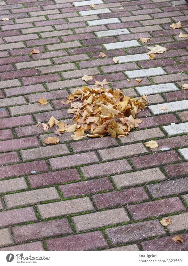 Small pile of leaves on a parking lot Autumn Heap Leaf Exterior shot Autumn leaves Day Autumnal colours Nature Deserted Colour photo Early fall Change