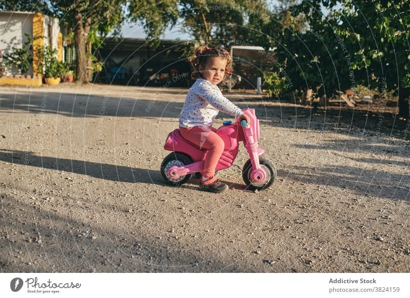 Cute girl riding toy bicycle in yard ride child adorable cute summer sunny play courtyard carefree weekend activity relax bike innocent pleasure enjoy kid