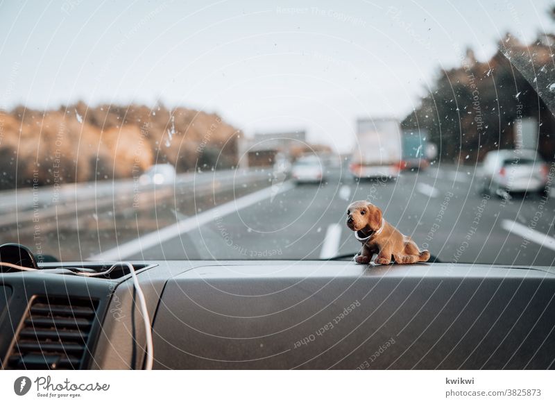 Car ride with grandpa loose dachshunds Old Grandfather Man Senior citizen Exterior shot Together Generation Deserted car Car journey Highway Street lorry