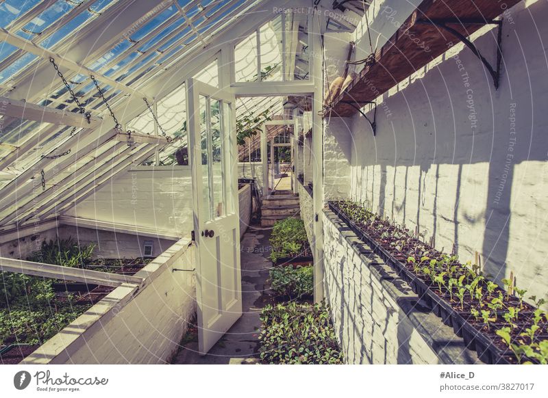 greenhouse Heligan agriculturally Agriculture Architecture pretty Botany Building colourful Cornwall Harvest cultivate Cultivation Design eco ecology England