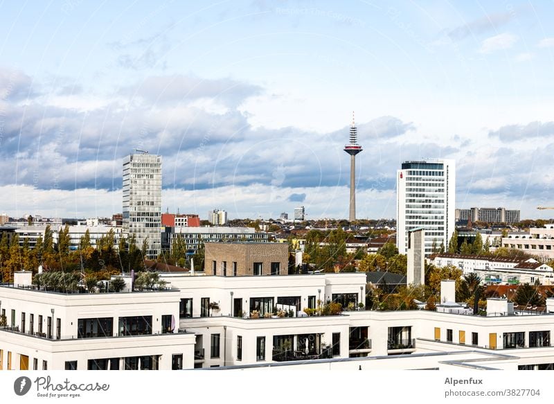 New home Frankfurt Architecture High-rise Main Town Bank building Exterior shot Skyline Colour photo House (Residential Structure) City Downtown Hesse Building