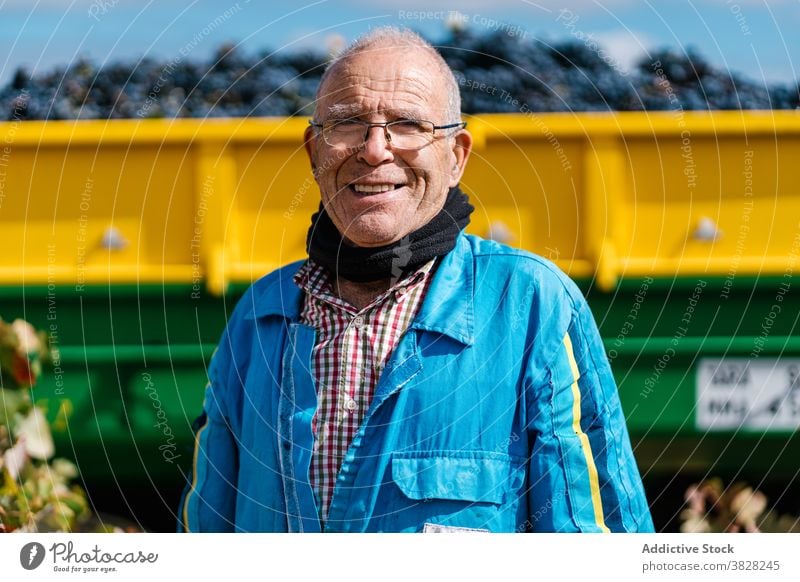 Smiling senior winegrower behind tractor with grapes smile eyeglasses horticulture trailer harvest summer countryside portrait man blue uniform pile heap