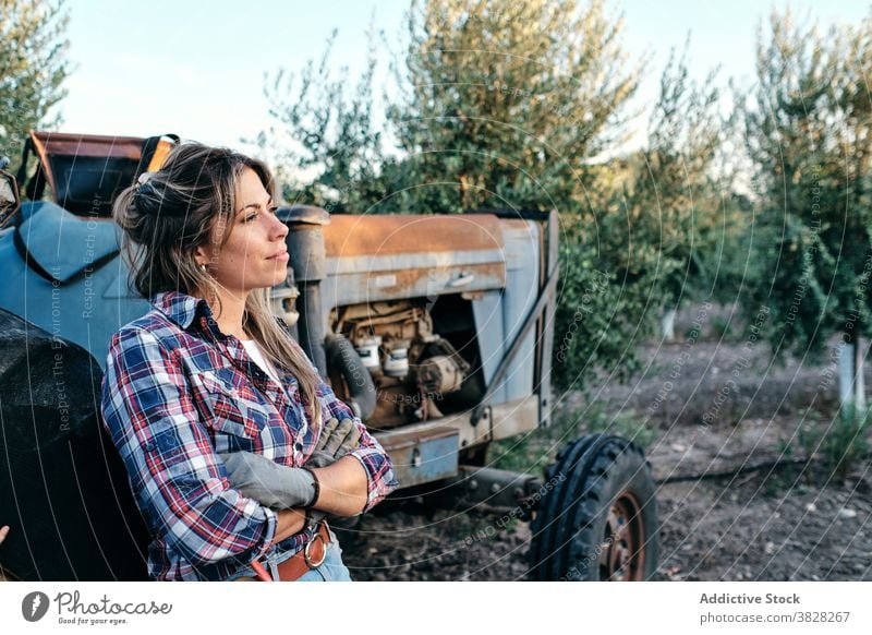 Female farmer with tractor on olive plantation harvest machine woman agriculture rural female satisfied adult small business owner work organic job agronomy