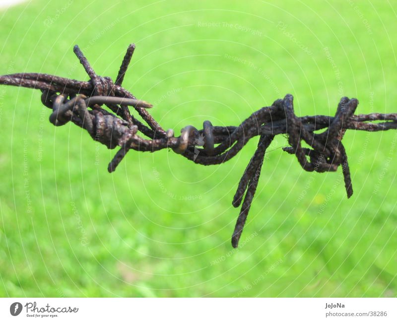 barbed wire at kz ausschwitz birkenau Auschwitz-Birkenau Concentration camp Barbed wire Thorn Historic oozing Rust